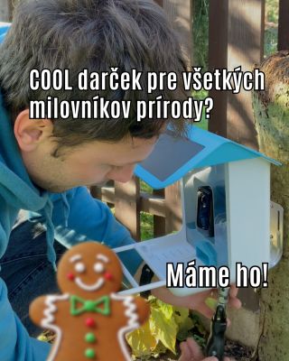 Skvelý darček pre všetkých, ktorí si chcú vychutnať divokú prírodu zblízka bez rušenia vtáčikov. 🐥🌿 #chytrebyvanie...